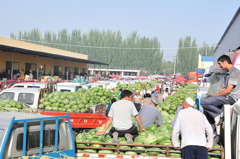 2瓜果市場(chǎng)_副本.jpg